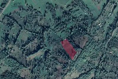 Teren extravilam, loc. Rona de Sus, jud. Maramure?, - 5