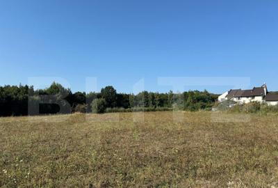 Teren intravilan, 3000mp, com. Darmanesti - 2