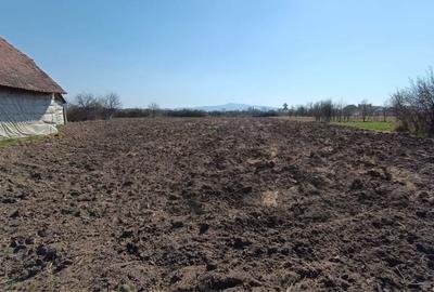 Spațiu comercial, în Târnova - 3