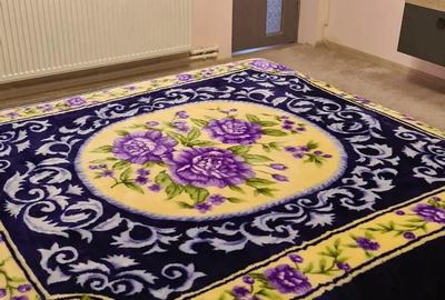 Casa de vanzare Brestei Craiova - 7