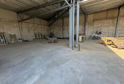 Spațiu industrial, de 300 mp, în Colentina - 3