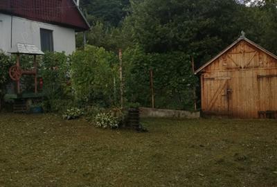 Proprietar-vand cabana cu livada teren mare-Stejeris-locatie deosebita Proprietar-vand cabana cu livada teren mare-Stejeris-locatie deosebita - 2