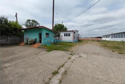 Royal Imobiliare - Vanzare Spatiu Industrial zona Exterior Est - 12