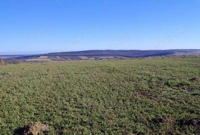 Teren extravilan in Ora?eni Deal - 1