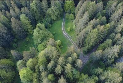 Teren de vânzare 1212 mp între Predeal și Pârâul Rece – 2 izvoare naturale