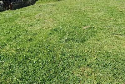 Teren de 4000 mp, în Aninoasa - 5