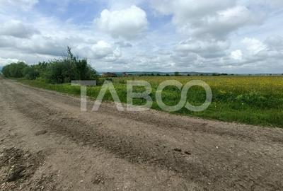 Teren de vanzare in zona Parcului Industrial Sura Mica cu acces camion - 4