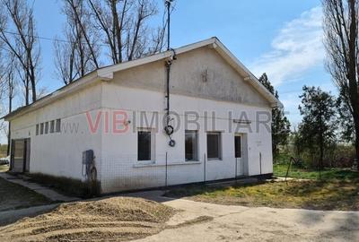 Teren de 36000 mp, în Sud - 6