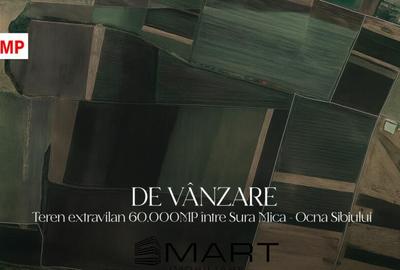 Teren de 60000 mp, în Ocna Sibiului