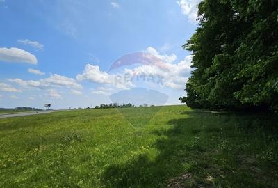 Teren Ilisesti  7000mp extravilan/ DN 17, Suceava - 11