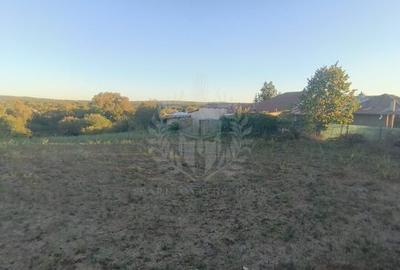 TEREN INTRAVILAN  PLOPU//3000 MP - 7