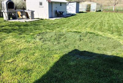 Spațiu comercial, în Rasnicu Oghian - 3