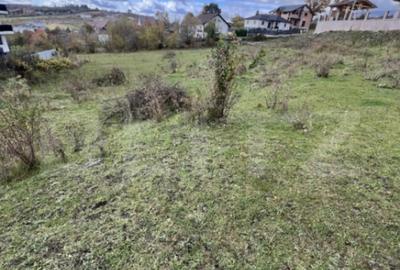 Teren de 3189 mp, în Cetății - 2