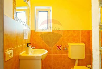 Casă cu 9 camere cu Teren 888 Mp în Sohodol - 32