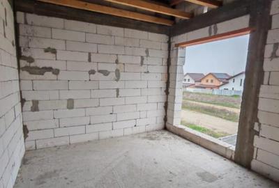 Casa Malu Mare - Capsunarie - Damila - 4