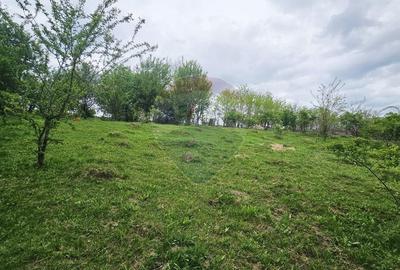 Teren Construcții intravilan de 5350 mp, în Dobreni - 5