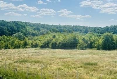 Vila modernă de închiriat pe termen lung – Siliștea Snagovului,  Jacuzzi  Ponton - 17