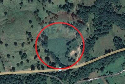 Teren intre Lepsa si Gresu - 4