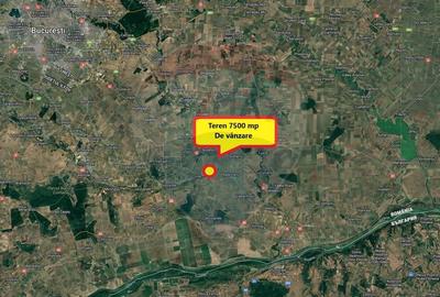 Teren 7500 mp de vanzare Crivat, str. Dulciata Ion, jud. Calarasi - 3