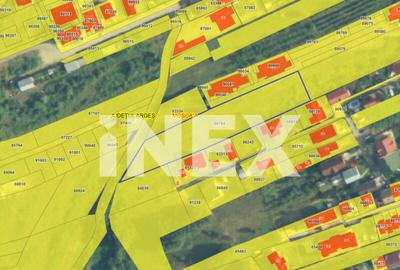 Teren strada Campului TRIVALE | 5.500 mp | iDEAL Dezvoltare - 3