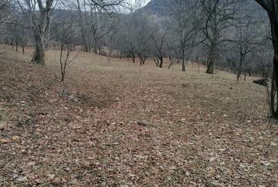 Teren intravilan de 2700 mp, în Secăriei - 3