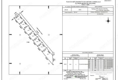 Teren de Investitie 500 mp, deschidere 25m, langa padurea de tei, Ordoreanu Teren de Investitie 500 mp, deschidere 25m, langa padurea de tei, Ordoreanu - 11