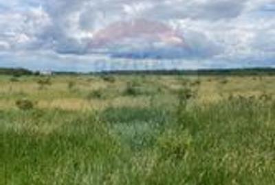 DE VANZARE Teren intravilan 600mp Drumul Piscul Mosului SISESTI - 17