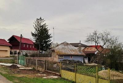 Teren de 2687 mp, în Dârza