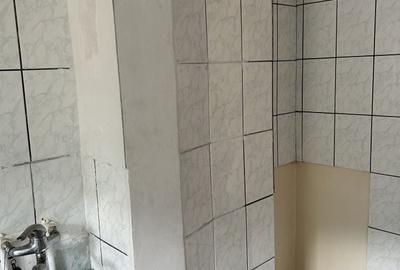 Apartament cu 2 camere în Cezar Petrescu - 4