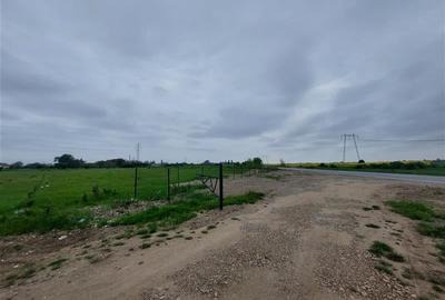 Teren agricol intravilan de 80000 mp, în Grădiște - 7