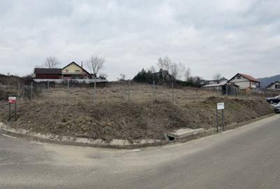 Teren agricol intravilan de 1600 mp, în Tăuții-Măgherăuș - 4