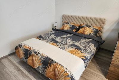 Apartament cu 2 camere în Calea București - 2