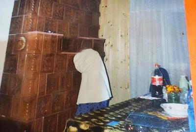 Lepsa Vrancea ,zona retrasa linistita si sigura,cabana si teren de vanzare - 3