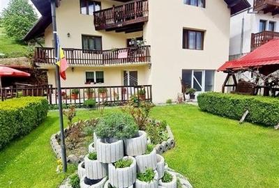 Tu 3D! Pensiune in areal pretios, Moieciu, Bran, Brasov - 44