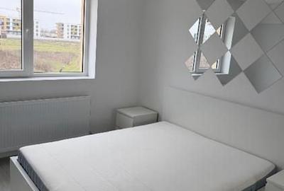 Apartament cu 3 camere decomandat, mobilat în Theodor Pallady - 9