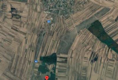 Teren de 20000 mp, în Vișina - 1