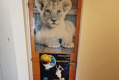 Apartament cu 3 camere decomandat în Camil Ressu - 24