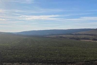 Spațiu comercial, în Mierlău - 2