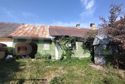 Casă cu 4 camere cu Teren 6700 Mp în Dorolea - 2