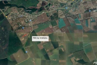 Teren de 7800 mp, în Grădiștea - 1