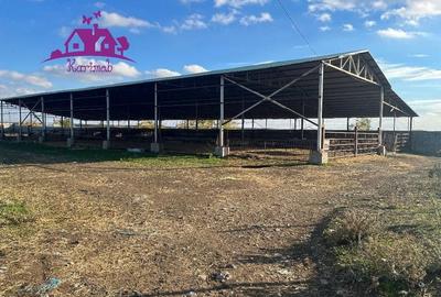 Teren industrial si o constructie pe structura metalica - 1