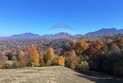 Teren 2,500mp Bran / Strada Bradul Inalt - 1