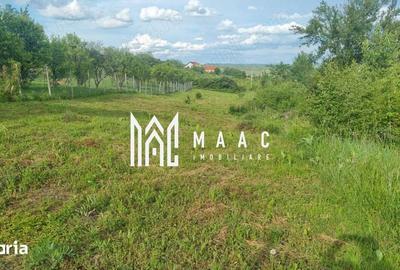 Teren de 1000 mp, în Roșia - 6