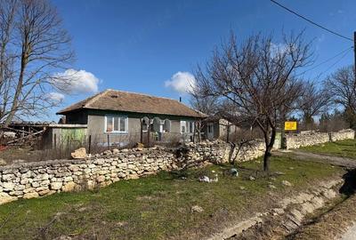 Casă cu Teren 2142 Mp în Olteni - 1