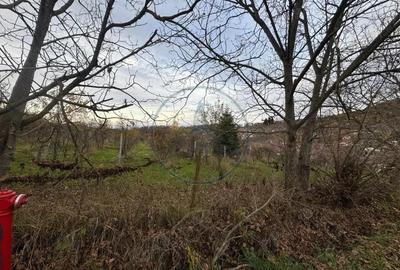 Teren intravilan 3.000 mp, 2 fronturi, Valea Jelnei - 3