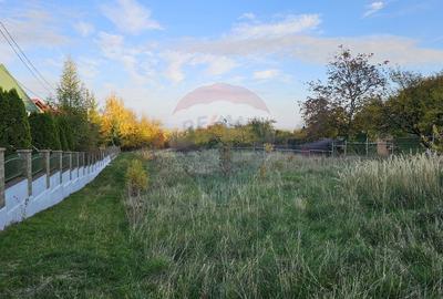 Teren intravilan 1,450mp Ilisesti / DN 17-Suceava - 10