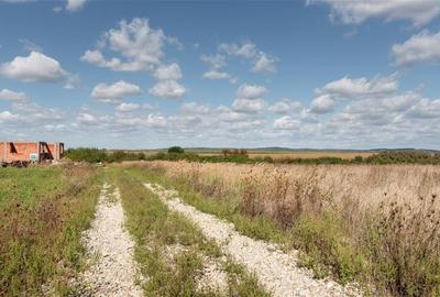 Teren intravilan in Rontau Teren intravilan in Rontau - 7