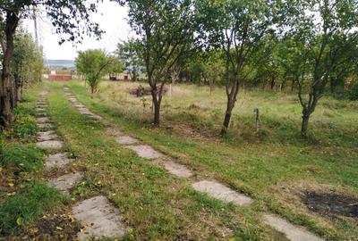 Casă cu 4 camere în Abuș - 8