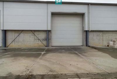 Hala industriala de 538mp Jebel, Timi? - 4