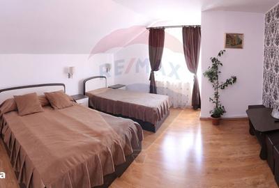 Spațiu comercial, de 750 mp, în Făget - 7